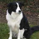 Sarah Buddin - @sbud1234 - Twitter