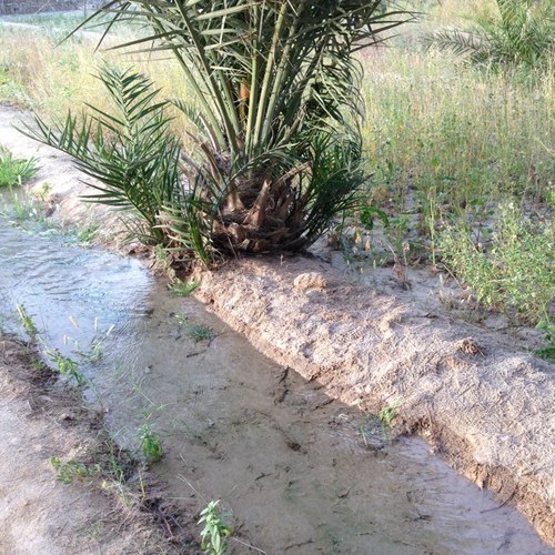 محبة للطبيعة وأميل للهدوء كثيراً