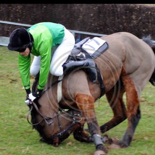 johnellard89's profile picture. 