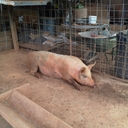 Adam Neeley - @AdamNeeley19 - Twitter