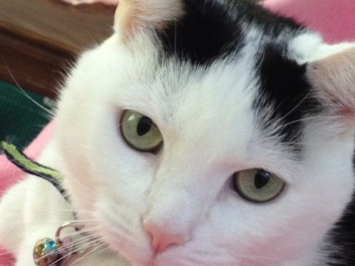 ltctlvr's profile picture. 