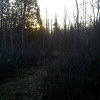 tmueller (@tmueller4) 's Twitter Profile Photo