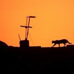 30代 フォロー数はジャンルの地層 今は⛄️(箱推し❤️様贔屓) OP(❤️‍🔥🐯/⚔️👒←とは完全別軸でZS/💌兄弟) ほぼROM専