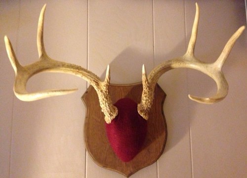 bowmanjim3's profile picture. 