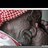 saud1live's profile image