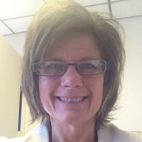 dovey1965's profile picture. Kingfisher