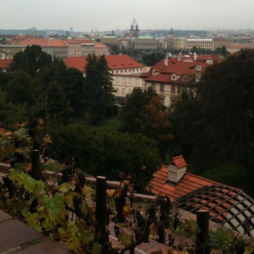 ZuZusPetals18's profile picture. 