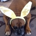 Kris Vernon - @dorakris - Twitter