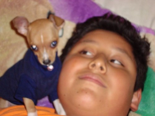 francojavio's profile picture. 