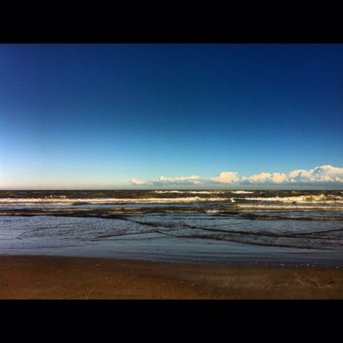 solymarriccione's profile picture. 