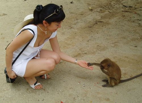 TOP100S's profile picture. 