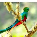 lara melisa herrera - @laramelisaherre - Twitter