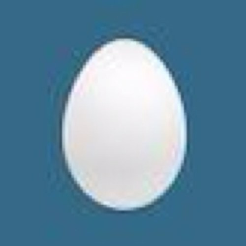 New Twitter; @AmandaNewwell