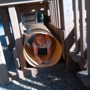 Penelope Vaughn - @ilov_music4 - Twitter