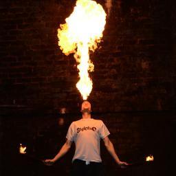 flylikeamouses's profile picture. 