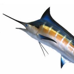 MRom74's profile picture. Tomándose la vida, cada año que pasa, con más filosofía. De las malas circunstancias se sale derrapando pero todos tenemos control de tracción, úsala.