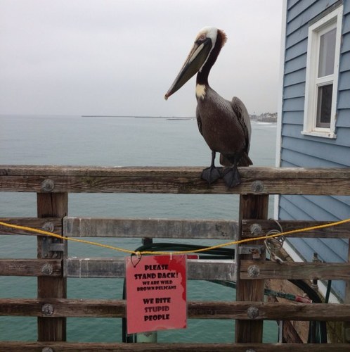 starkovAV's profile picture. Lomonosov Capital