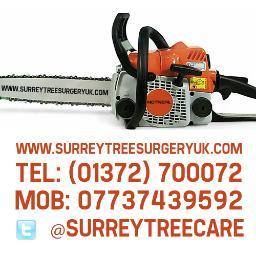 SurreyTreeCare's profile picture. We are a Tree Surgery and Landscaping company based in Surrey England. We undertake mostly tree work but also cover other soft and hard landscaping too.