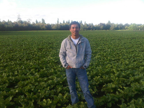 Agricultor , fruticultor ....