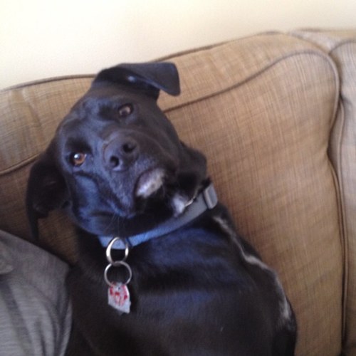 benjigans's profile picture. 