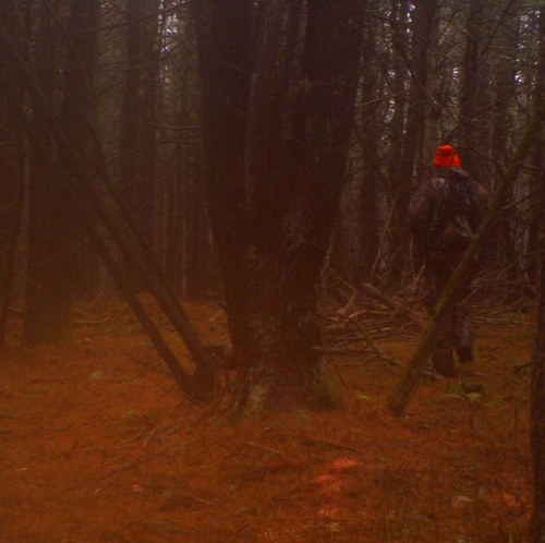 MrOneYoSelf's profile picture. Aint no shame in my game.
Stop The Pussyfication of America!