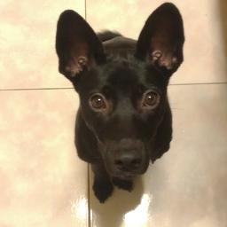 victorycy's profile picture. 