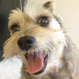 realjohnparsons's profile picture. Connect your car to your life. Follow my Smartphone integration, navigation and connected car projects from mobile and web apps to hardware prototypes.