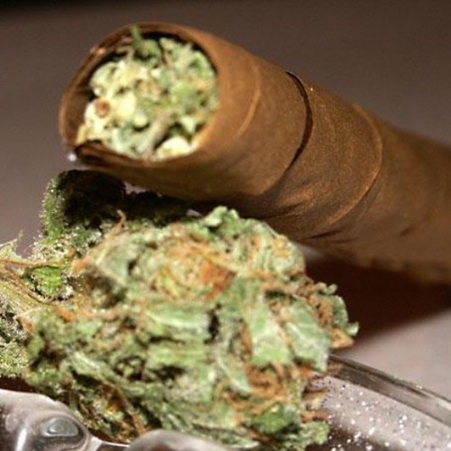 3Ma1ik3's profile picture. Fuckery can only get u fucked in the end!!! Enjoy life to the fullest, somehow...someway!!! If u don't love yourself, how can u expect others to love u?