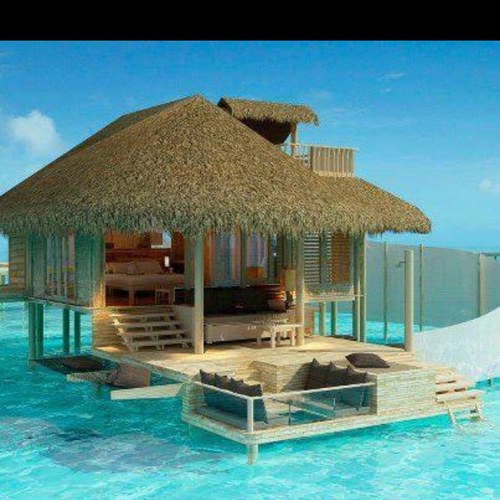 Bk your travel Family Trips, Girls only Honeymoons,Guys trip, Spring Break, Weekends, Church Vacations, Rec Parks, Senior Trips. Travel with Chic and bling.