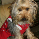 Patrice Sweeney - @GabbyMA - Twitter