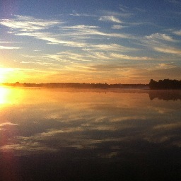 toddgraeve's profile picture. 