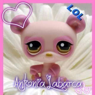 Hola,soy antonia tengo 11 años y hago videos de lps en youtube :D aqui esta mi canal http://t.co/CltufrV0OV