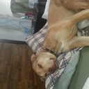 Erin redding - @emredding22 - Twitter