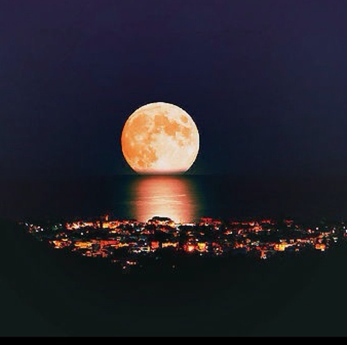 MoonlightCityRP's profile picture. Moonlight city Is a city that's in California. This is strictly role playing! Contact me if any questions @KatCMLRP