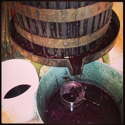 Because sometimes we all need a Little Chianti