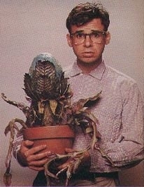 stevedar7's profile picture. middle school teacher, history, educational technologist,