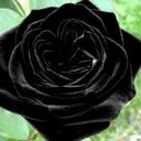 Tosha Jackson - @perkybaby08 - Twitter