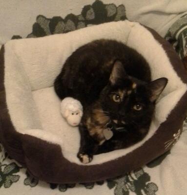 Giennied66's profile picture. 