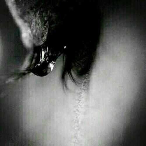 SamsungNote4's profile picture. 