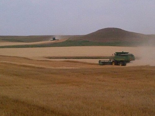 JaythonE's profile picture. 