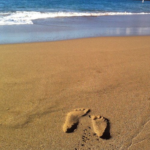 lckyone3's profile picture. 