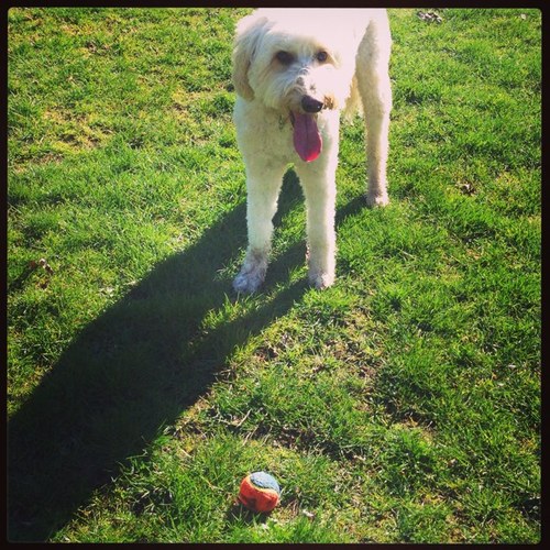 Martha Banner Profile