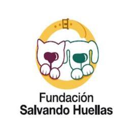 Fundación sin animo de Lucro dedicada a la protección Animal, Rescatando Y promoviendo La tenencia responsable https://t.co/nhHZ5IlpPS