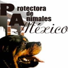 Somos una Asociacion Civil dedicada a la proteccion animal, creamos campañas de conciencia, promovemos la esterilizacion de mascotas y la adopcion