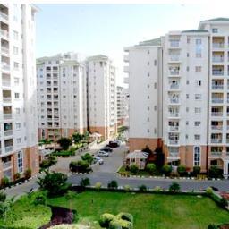 MaryJoLivengood's profile picture. Real Estate Investing buying houses, selling houses, wholesaling houses, seeking private money.