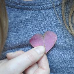 juliaeshannon's profile picture. Paps, Cats, and Pepps & Cheese... I really only joined Twitter to read Jose Canseco's depressing tweets...