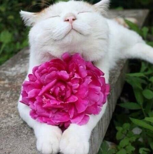 h2710's profile picture. Fong- 따뜻한 도시여자.