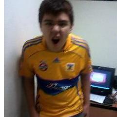 Ser Tigre no es una moda, es un sentimiento, un estilo de vida, mis bandas de rock mi fifa aah y soy un lovaticboy @ddlovato 14a~os
