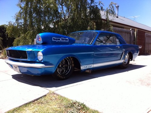 VRaschilla's profile picture. 