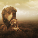 Kelvin Ward - @kward1906 - Twitter